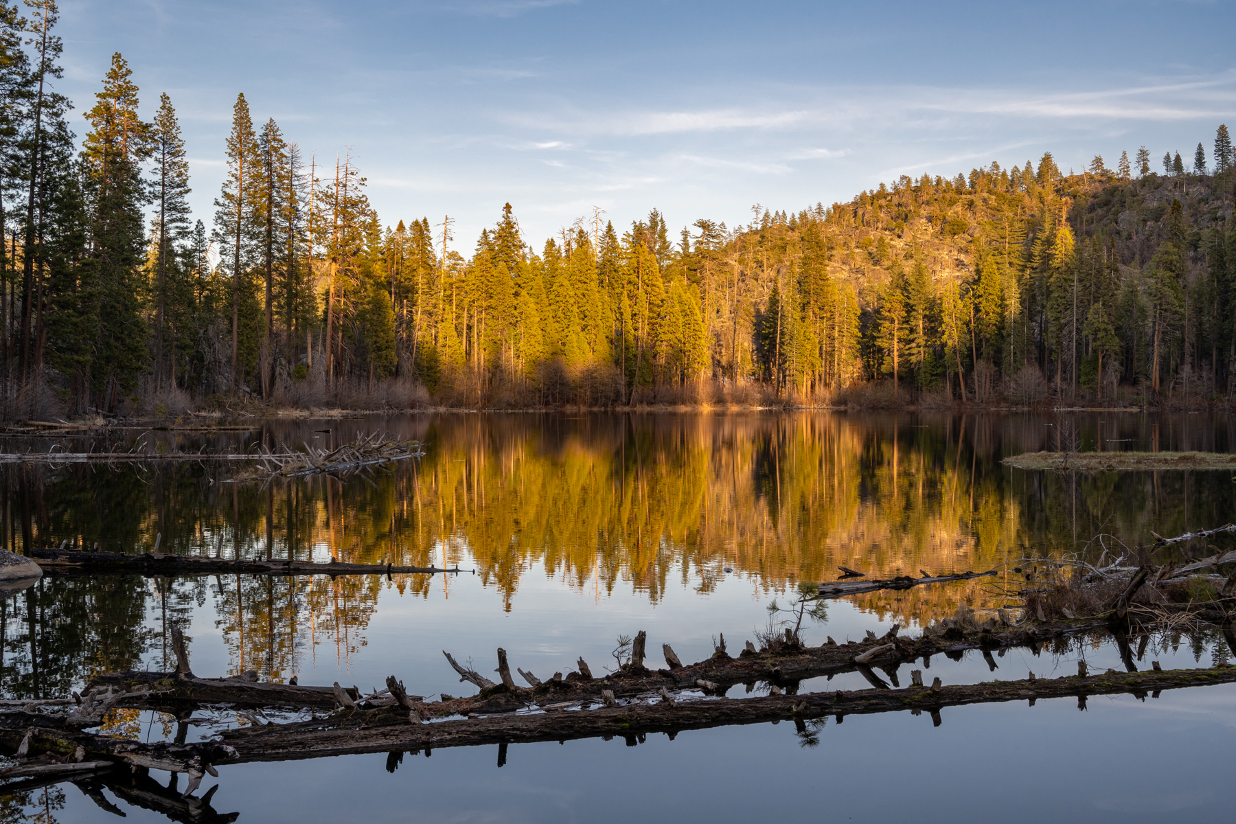 Swamp Lake